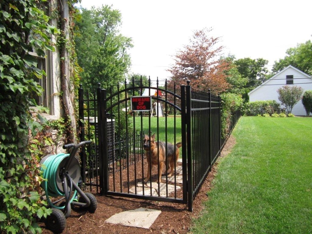 Iron Fence for Security