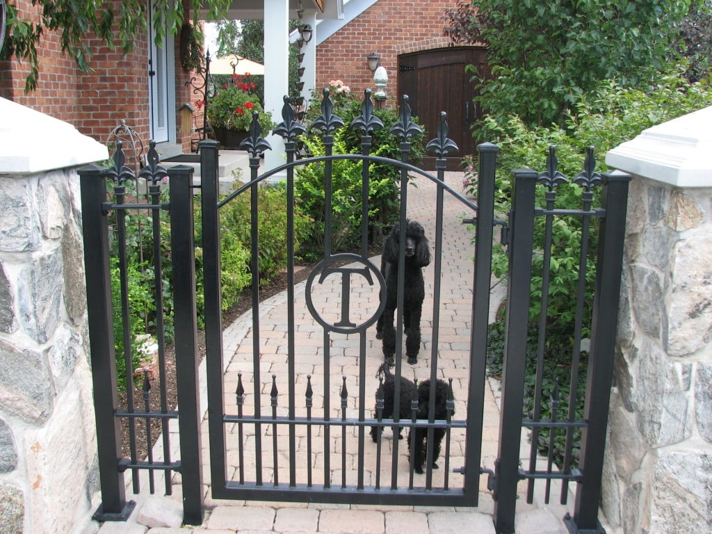 Custom Iron Arch Gate with Puppy Pickets and Letter