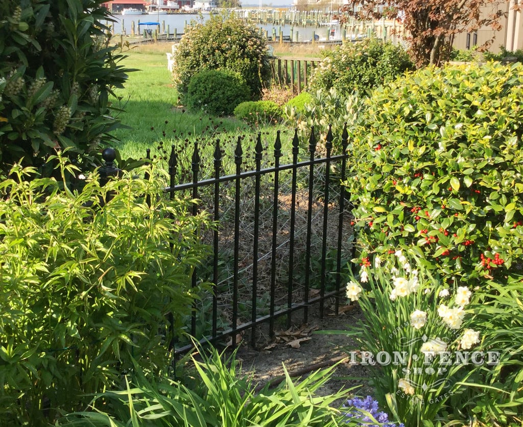 3ft Tall iron Fence in Classic Style and Traditional Grade