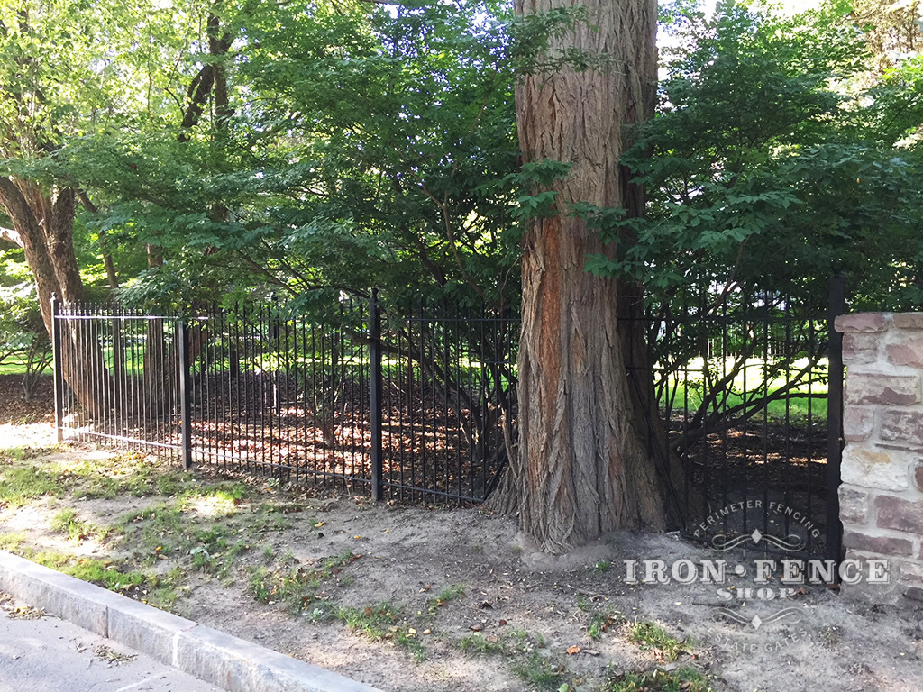 Our 5ft Iron Fence Installed and Customized to Look Like its Passing Through a Tree
